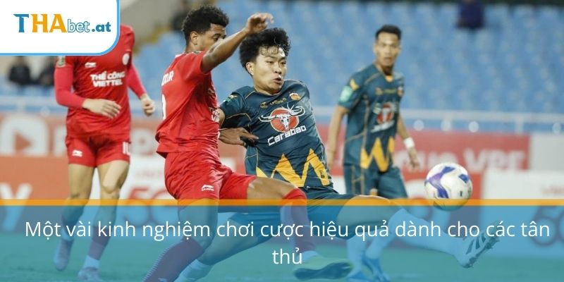 Một vài kinh nghiệm chơi cược hiệu quả dành cho các tân thủ