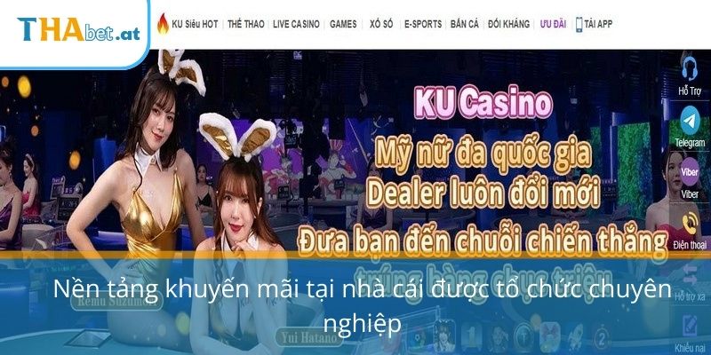 Nền tảng khuyến mãi tại nhà cái được tổ chức chuyên nghiệp