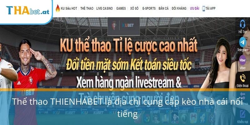Thể thao THIENHABET là địa chỉ cung cấp kèo nhà cái nổi tiếng