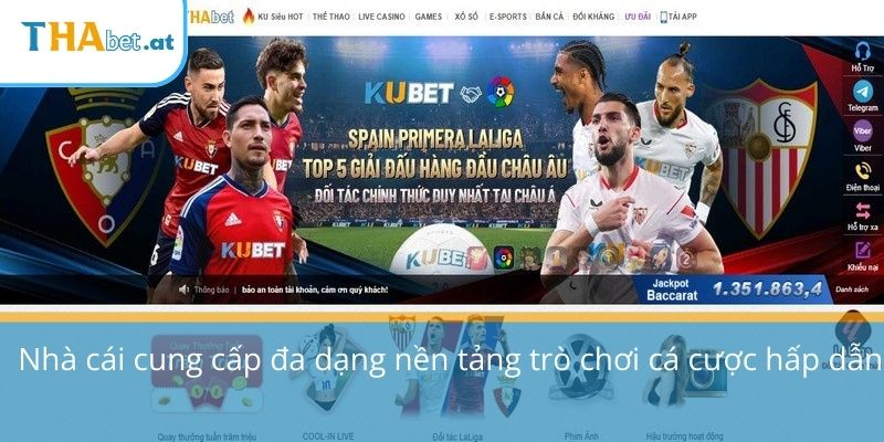 Nhà cái cung cấp đa dạng nền tảng trò chơi cá cược hấp dẫn