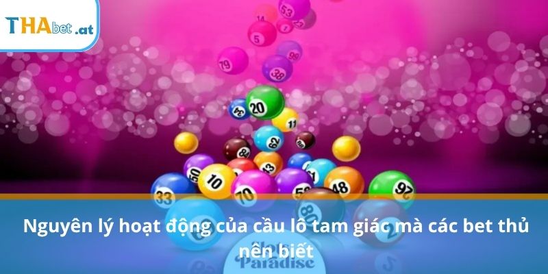 Nguyên lý hoạt động của cầu lô tam giác mà các bet thủ nên biết